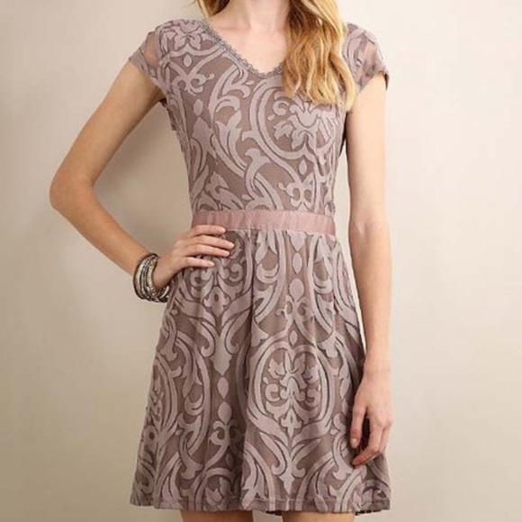 Soieblu Dresses & Skirts - Soiéblu Mocha Burnout Damask Fit & Flare Dress